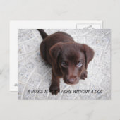 Puppy Quote Briefkaart (Voorkant / Achterkant)