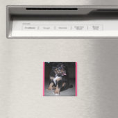 Puppy raspberry magnet magneet (Insitu (Vaatwasser))