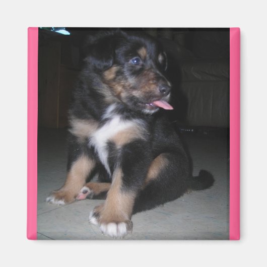 Puppy raspberry magnet magneet (Voorkant)