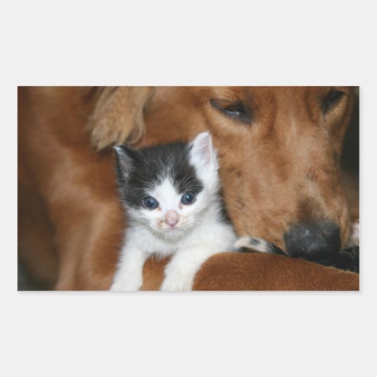 Puppy Rechthoekige Sticker (Voorkant)