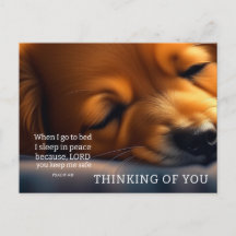 Puppy Schrift Denken aan jou