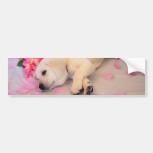 Puppy Sleep Flower 01 Bumpersticker
