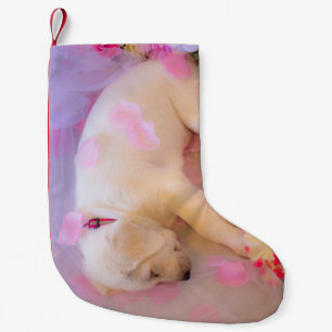 Puppy Sleepy Veil 01 Kleine Kerstsok