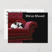 Puppy Sofa Wijziging van adres Briefkaarten (Voorkant / Achterkant)