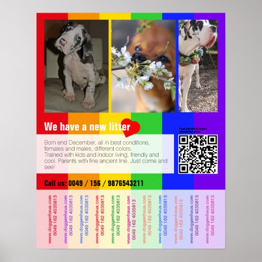 Puppy te koop flyer met QR code Poster (Voorkant)