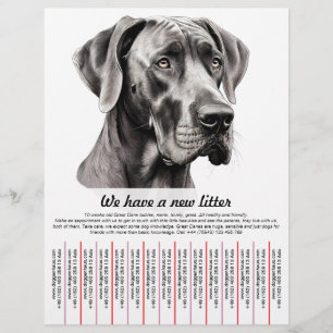 Puppy te koop flyer sjablonen
