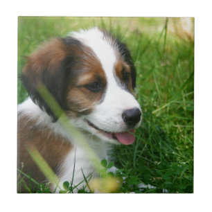 Puppy Tegeltje
