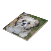 Puppy Tegeltje (Zijkant)