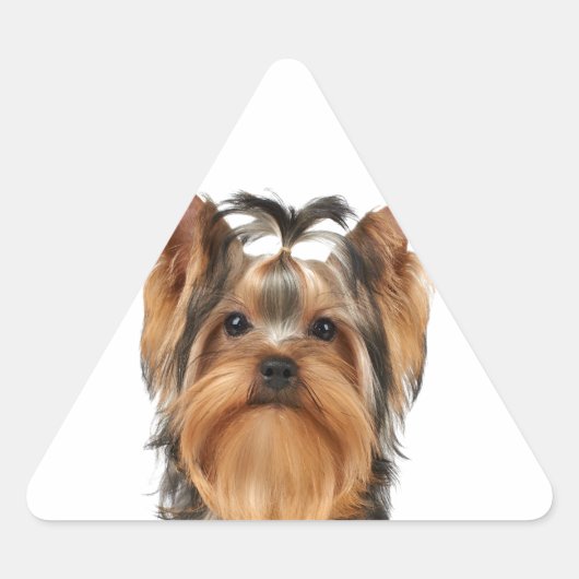 Puppy van de Yorkshire Terrier Driehoek Sticker (Voorkant)