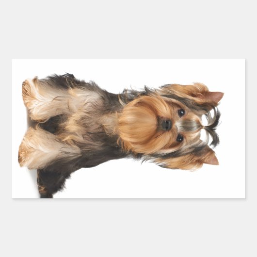Puppy van de Yorkshire Terrier Rechthoekige Sticker (Voorkant)