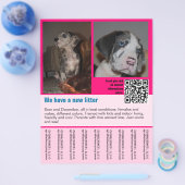 puppy verkoop flyer sjabloon QR code (Enkel)