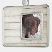 Puppy Verzilverd Kader Ornament (Links)