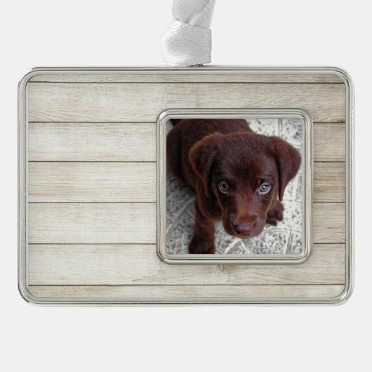 Puppy Verzilverd Kader Ornament (Voorkant)