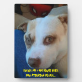 Puppy voetstuk teken fotoplaat (voorkant)