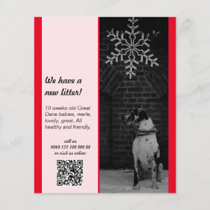 puppy voor verkoop flyer sjablonen