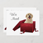 Puppy wijziging van adres Briefkaarten (Voorkant / Achterkant)