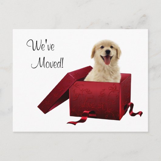 Puppy wijziging van adres Briefkaarten (Voorkant)