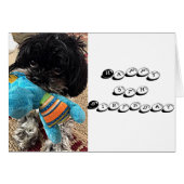 PUPPY With TOY DIT QUE VOUS TOURNEZ ****5**** (Devant horizontal)