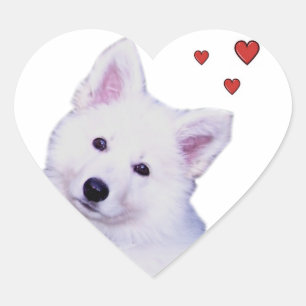 Puppy witte herder hart sticker
