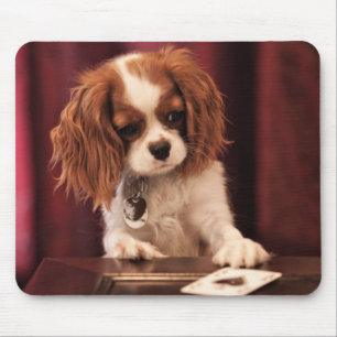 Puppyleenkaarten Muismat