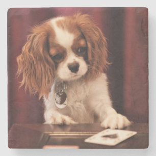 Puppyleenkaarten Stenen Onderzetter