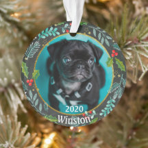 Puppy's eerste kerstfoto