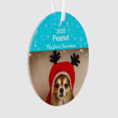 Puppy's eerste kerstfoto ornament (voorkant)