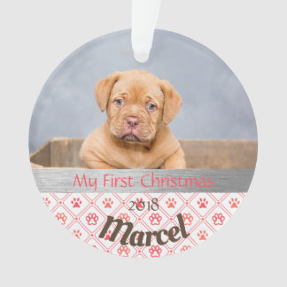Puppy's eerste kerstfoto-Ornament Ornament