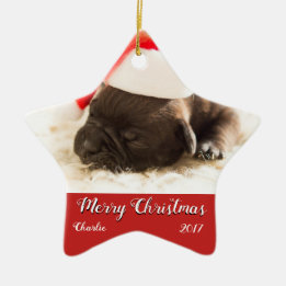 Puppy's eerste kerstversiering aanpassen keramisch ornament