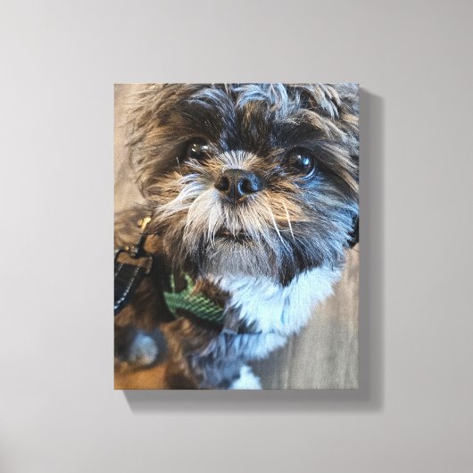Puppy's First Turkey Day Canvas Print (Voorkant)