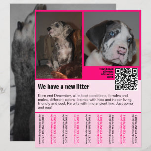 puppy's te koop flyer sjabloon QR code