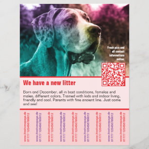 puppy's te koop flyer sjabloon QR code
