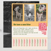 puppyverkoop flyer met QR-code oranje (Voorkant / Achterkant)