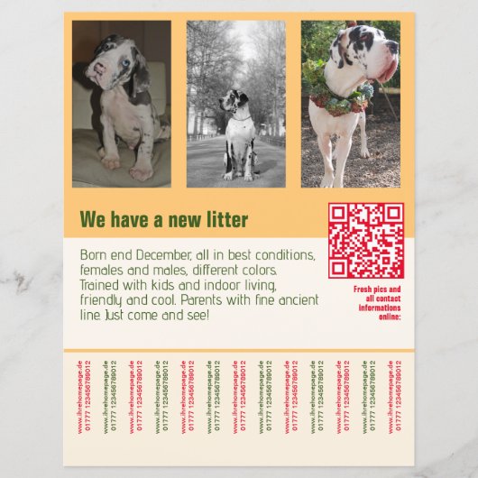 puppyverkoop flyer met QR-code oranje (Voorkant)