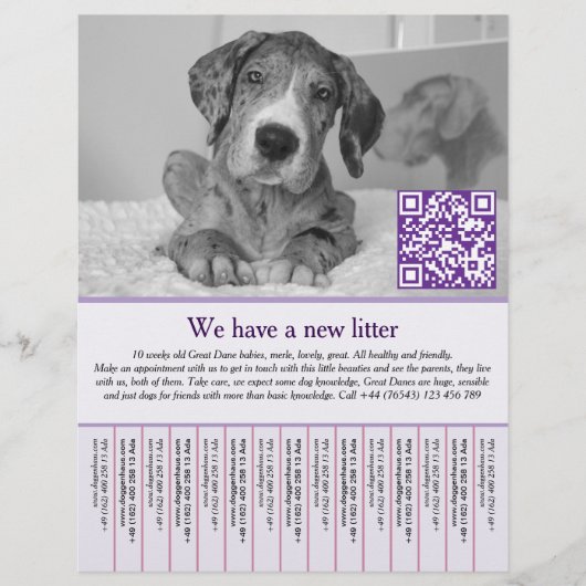 puppyvliegers flyer (Voorkant)