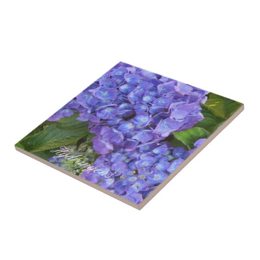 Puprle Hydrangeas Tegeltje (Zijkant)