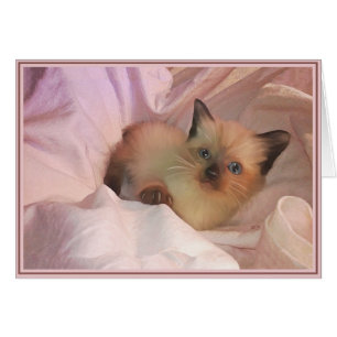 PUPs Card Kitties 12