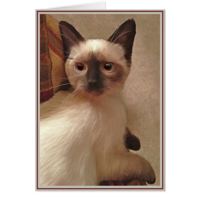 PUPs Card Kitties 15 (Devant)