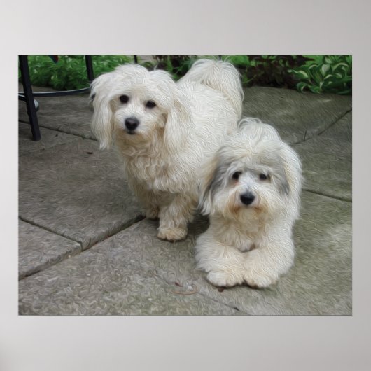 Pups in olie poster (Voorkant)