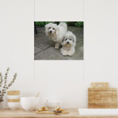 Pups in olie poster (Keuken)