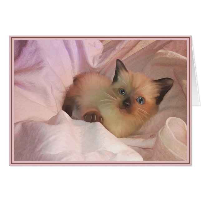 PUPs Kaart Katten 12 (Voorkant Horizontaal)