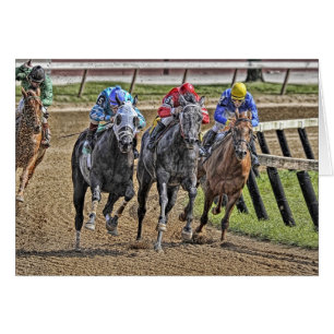 Pur sangs 3 tête à tête