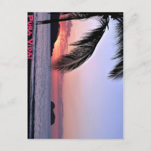 Pura Vida. Briefkaart