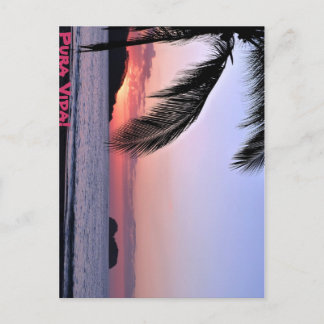 Pura Vida. Briefkaart