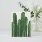 Pura Vida - Cacti Group Briefkaart (Staand voorkant)
