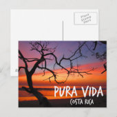 Pura Vida Costa Rica Beach Sunset Briefkaart (Voorkant / Achterkant)