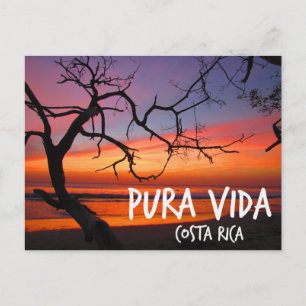 Pura Vida Costa Rica Beach Sunset Briefkaart