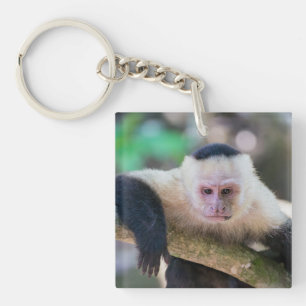 Pura vida voor kapucijnaapje met witte bodem sleutelhanger