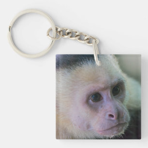 Pura vida voor kapucijnaapje met witte bodem sleutelhanger
