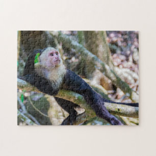 Pura vida voor witkopkapucijnaap legpuzzel